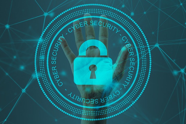 Protección de Datos Personales